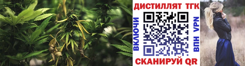 Дистиллят ТГК вейп  KRAKEN ONION  Жуков 